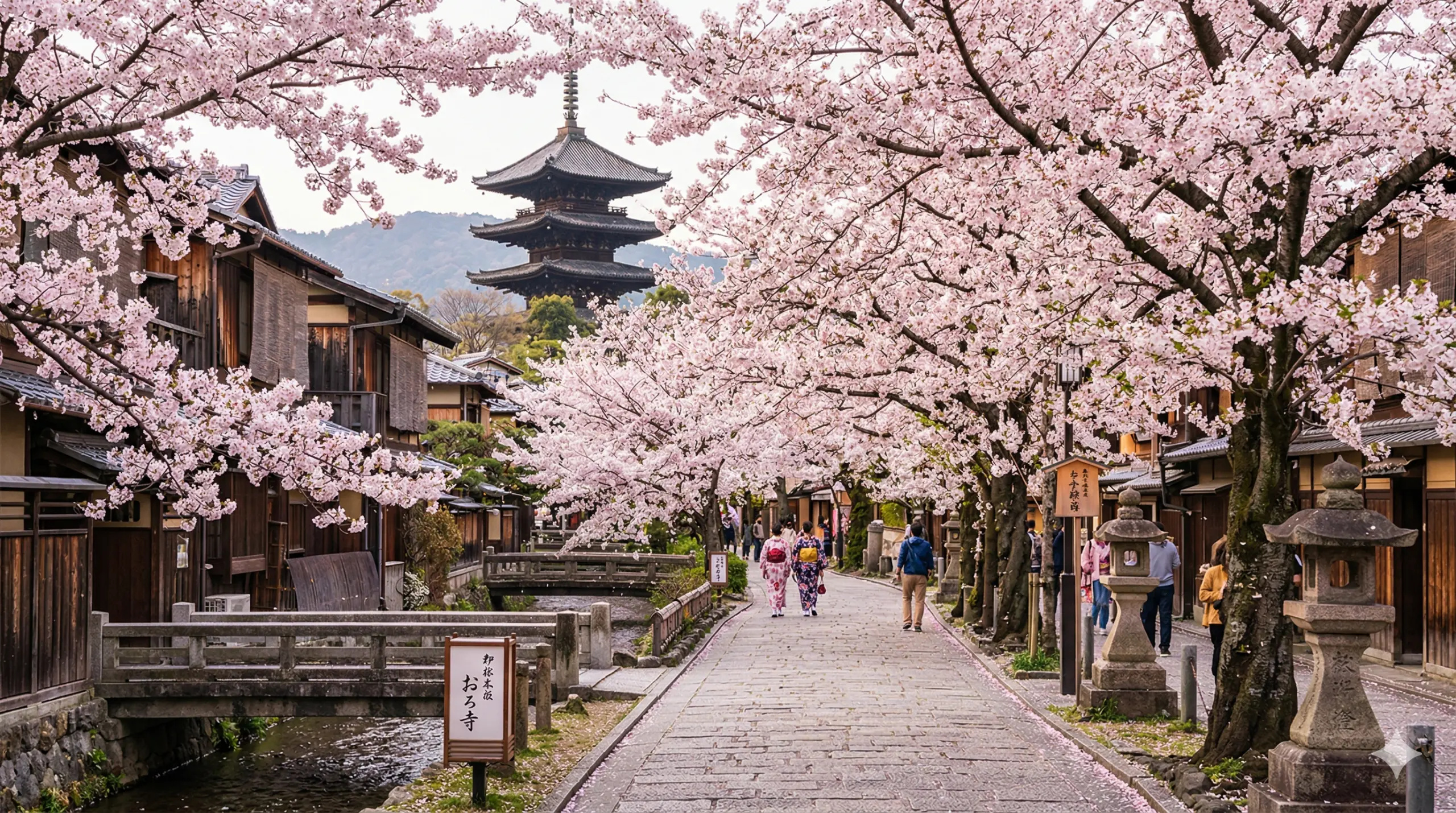 Con đường hoa anh đào tại Kyoto, Nhật Bản