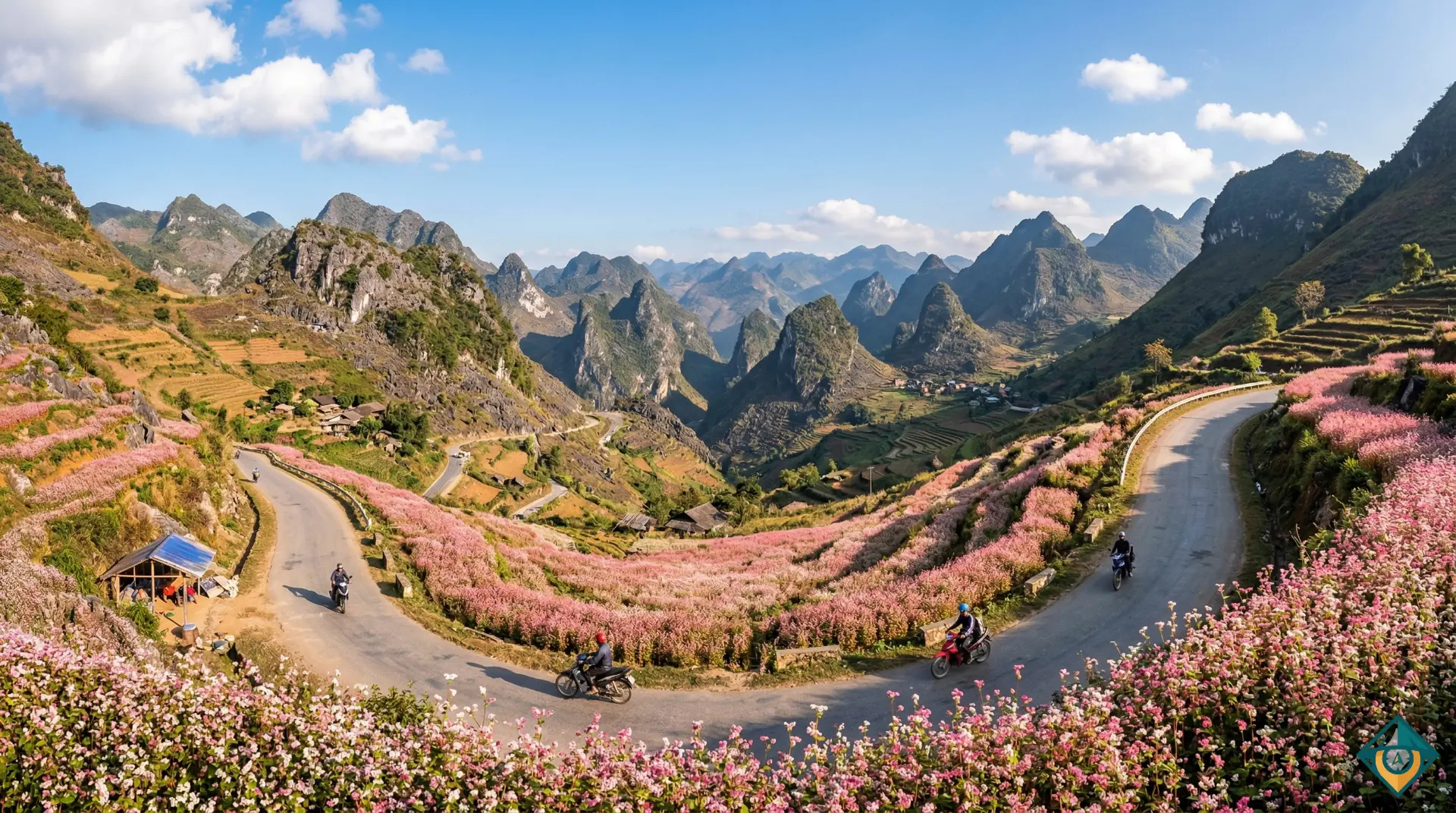 Đường đèo Hà Giang mùa hoa tam giác mạch